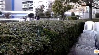 锤子英文官方大大申请自拍达人